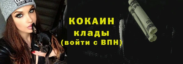 сатива Лагань