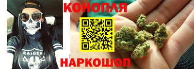 jwh Бийск