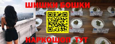 jwh Бийск