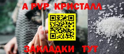 jwh Бийск