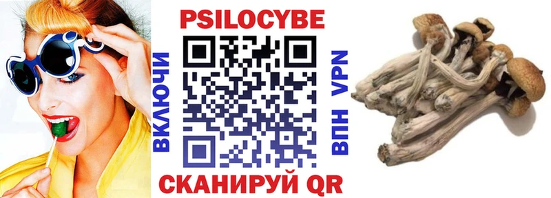 Галлюциногенные грибы Psilocybine cubensis  кракен сайт  Старый Оскол 