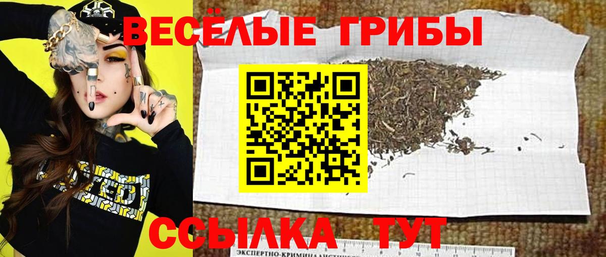 Псилоцибиновые грибы ЛСД  Вход с VPN  Старый Оскол 